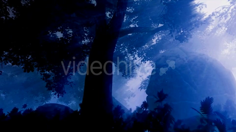 Dark Forest Landscape at Night Videohive 19061329 Motion Graphics Image 3
