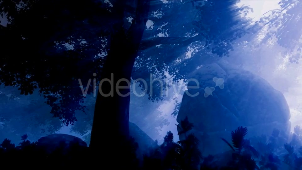 Dark Forest Landscape at Night Videohive 19061329 Motion Graphics Image 4