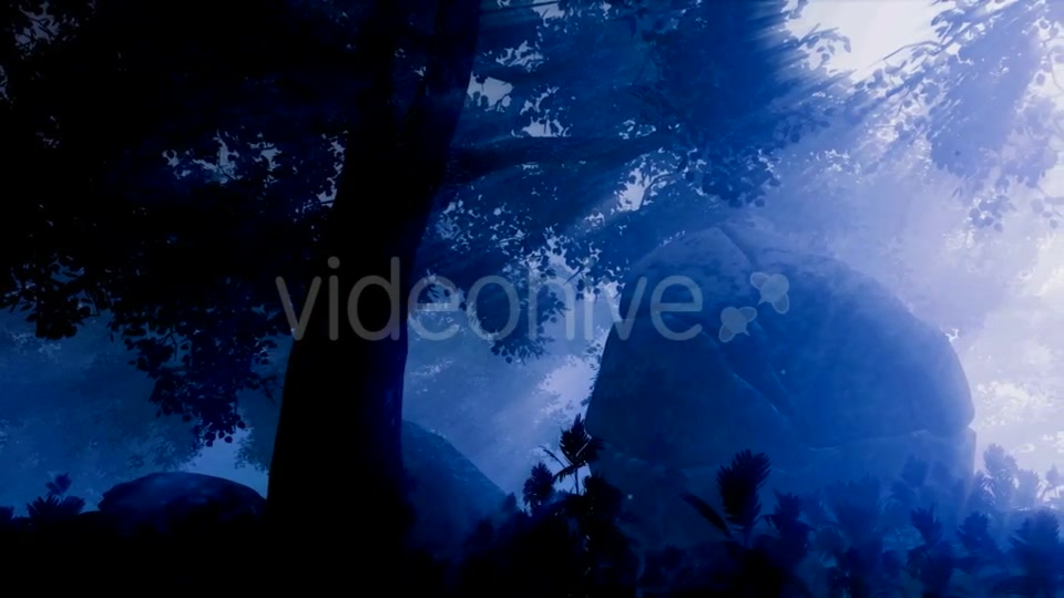 Dark Forest Landscape at Night Videohive 19061329 Motion Graphics Image 5