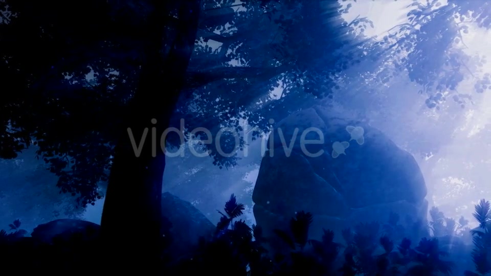 Dark Forest Landscape at Night Videohive 19061329 Motion Graphics Image 6