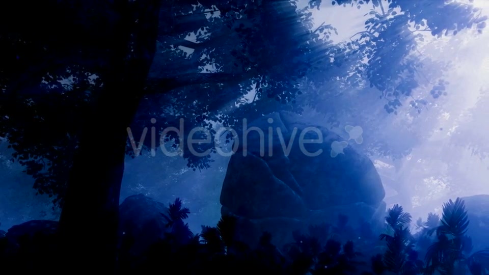 Dark Forest Landscape at Night Videohive 19061329 Motion Graphics Image 8