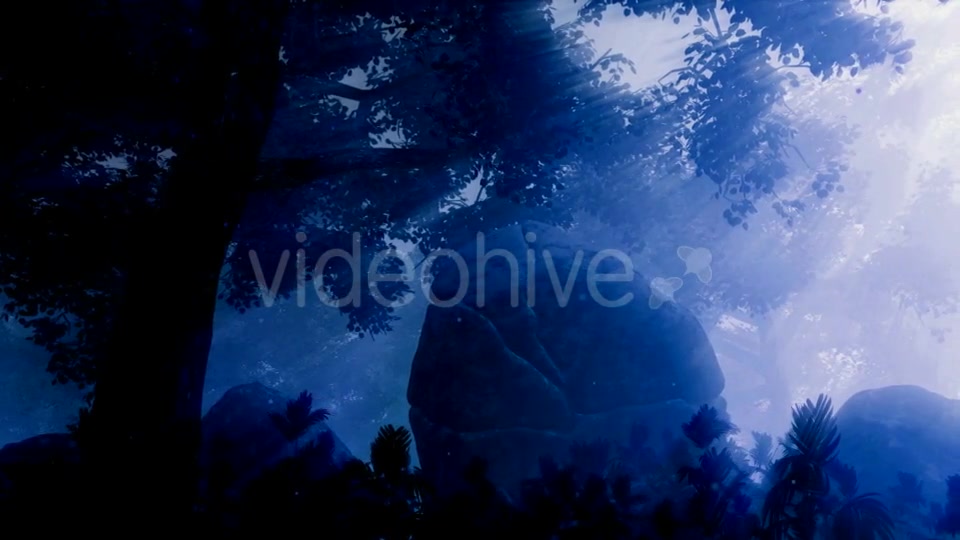 Dark Forest Landscape at Night Videohive 19061329 Motion Graphics Image 9
