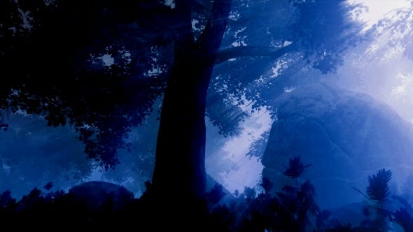 Dark Forest Landscape at Night - 19061329 Download Videohive