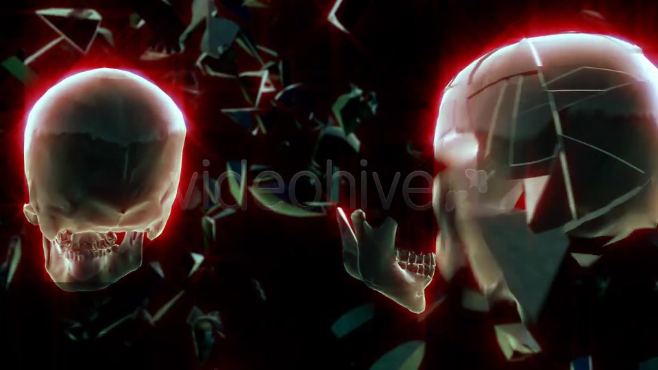 Dark Glass Skulls Backgrounds Pack Of 6 Videos Videohive 10156810 Motion Graphics Image 7
