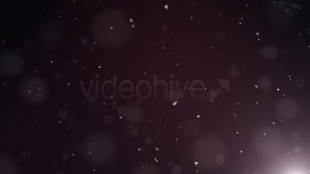Dark Snow Background (3 Pack) Videohive 8010182 Motion Graphics Image 6