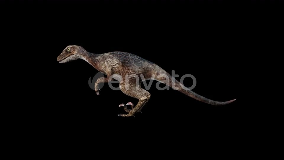 Deinonychus Dinosaur Idle Videohive 23200814 Motion Graphics Image 2
