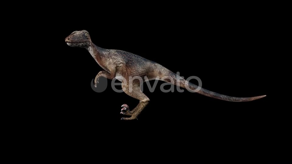Deinonychus Dinosaur Idle Videohive 23200814 Motion Graphics Image 4