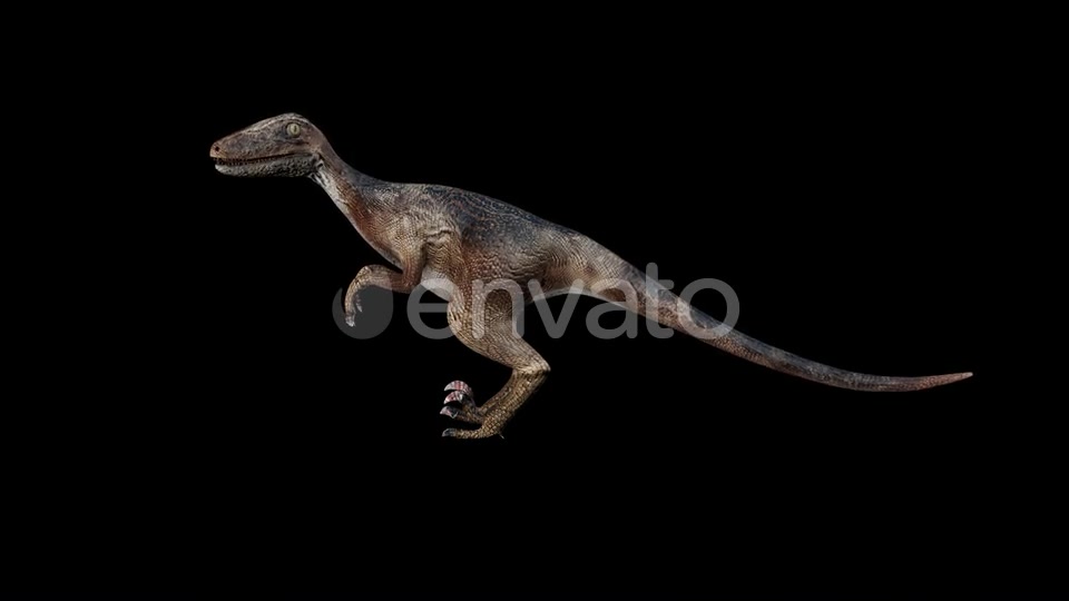 Deinonychus Dinosaur Idle Videohive 23200814 Motion Graphics Image 5
