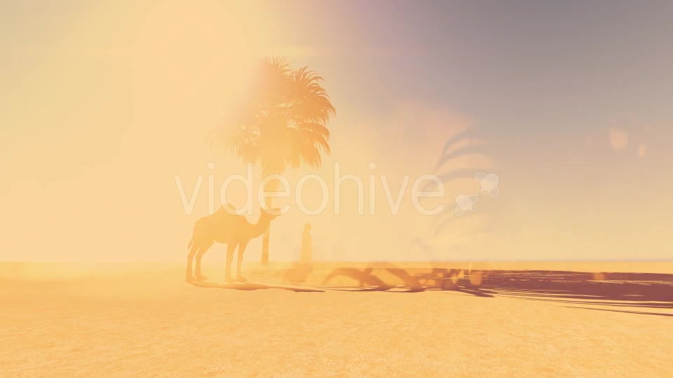 Desert Videohive 20018083 Motion Graphics Image 4