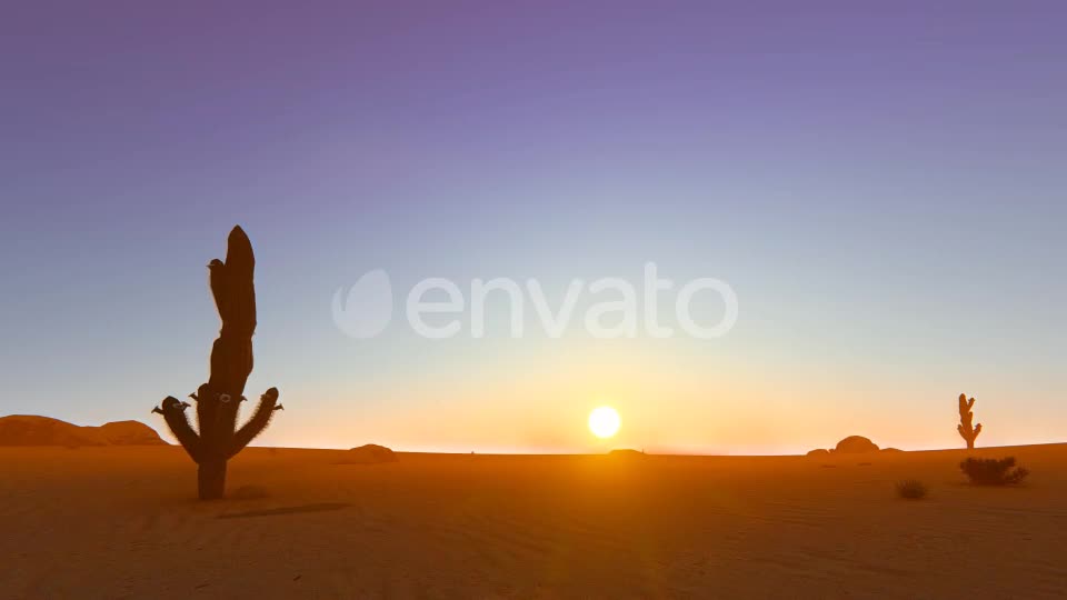 Desert In The Sunset Videohive 22348276 Motion Graphics Image 1