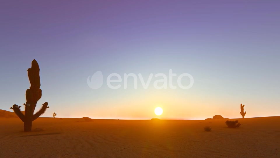 Desert In The Sunset Videohive 22348276 Motion Graphics Image 10
