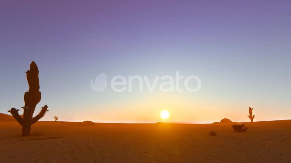 Desert In The Sunset Videohive 22348276 Motion Graphics Image 11