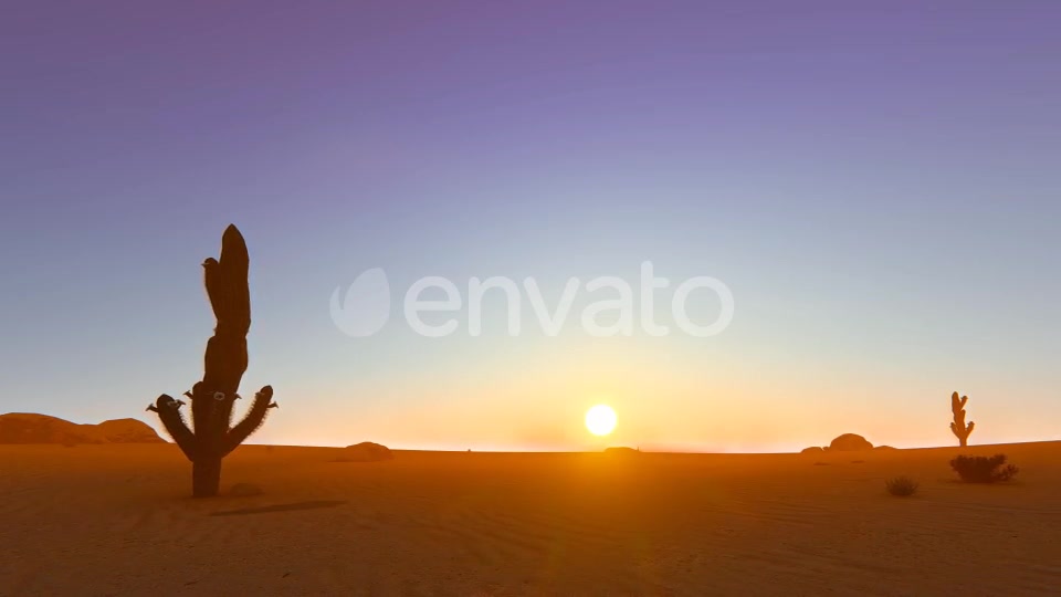Desert In The Sunset Videohive 22348276 Motion Graphics Image 2