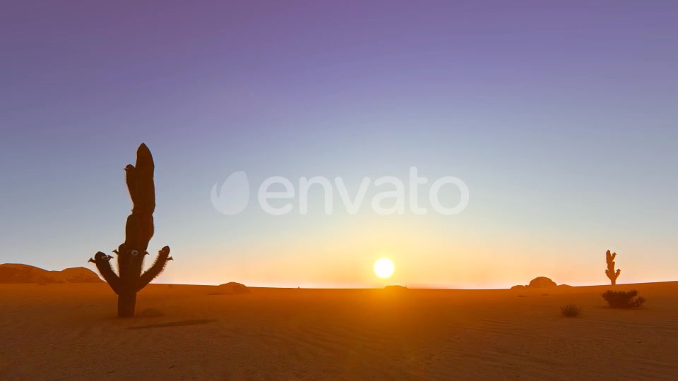 Desert In The Sunset Videohive 22348276 Motion Graphics Image 3
