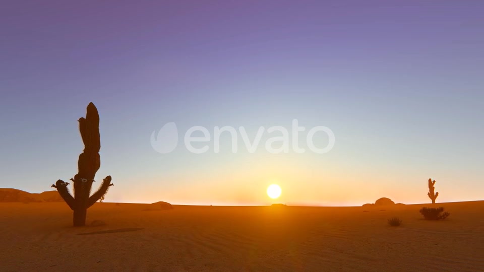 Desert In The Sunset Videohive 22348276 Motion Graphics Image 5