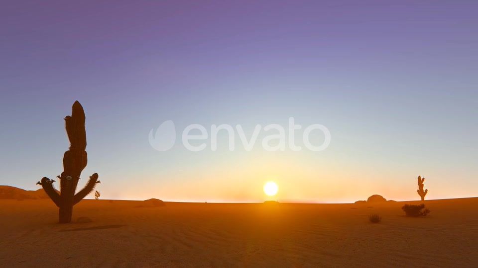 Desert In The Sunset Videohive 22348276 Motion Graphics Image 7