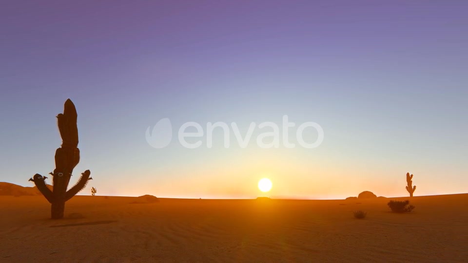 Desert In The Sunset Videohive 22348276 Motion Graphics Image 8
