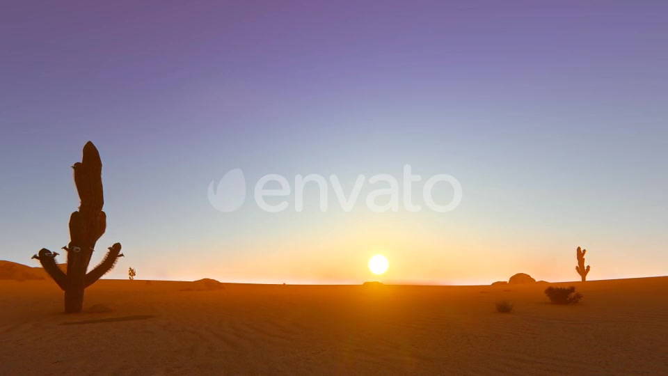 Desert In The Sunset Videohive 22348276 Motion Graphics Image 9