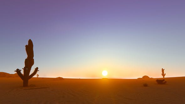 Desert In The Sunset - Download 22348276 Videohive