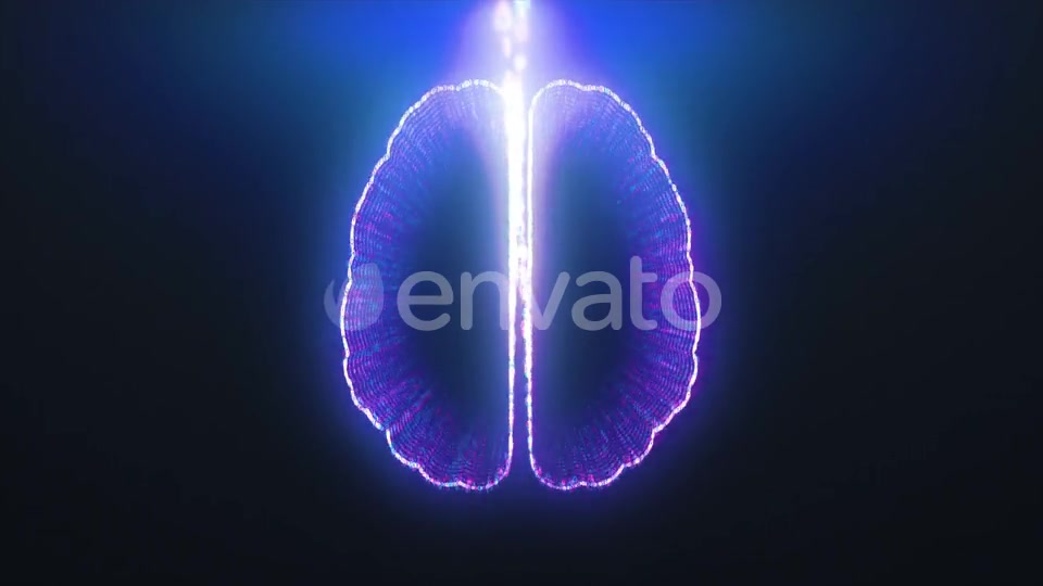 Digital Brain Forming From Information Videohive 24495762 Motion Graphics Image 5