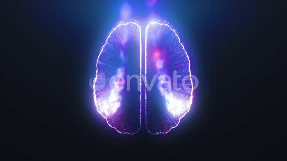 Digital Brain Forming From Information Videohive 24495762 Motion Graphics Image 8