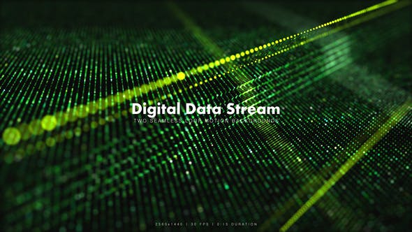 Digital Data Stream 3 - Download 17241842 Videohive