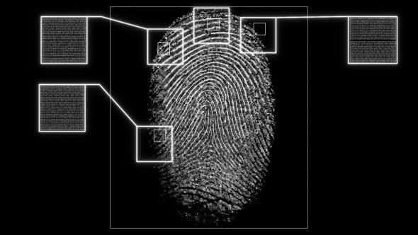 Digital Fingerprint Fingerprint Scanning Pack - 21349437 Videohive Download