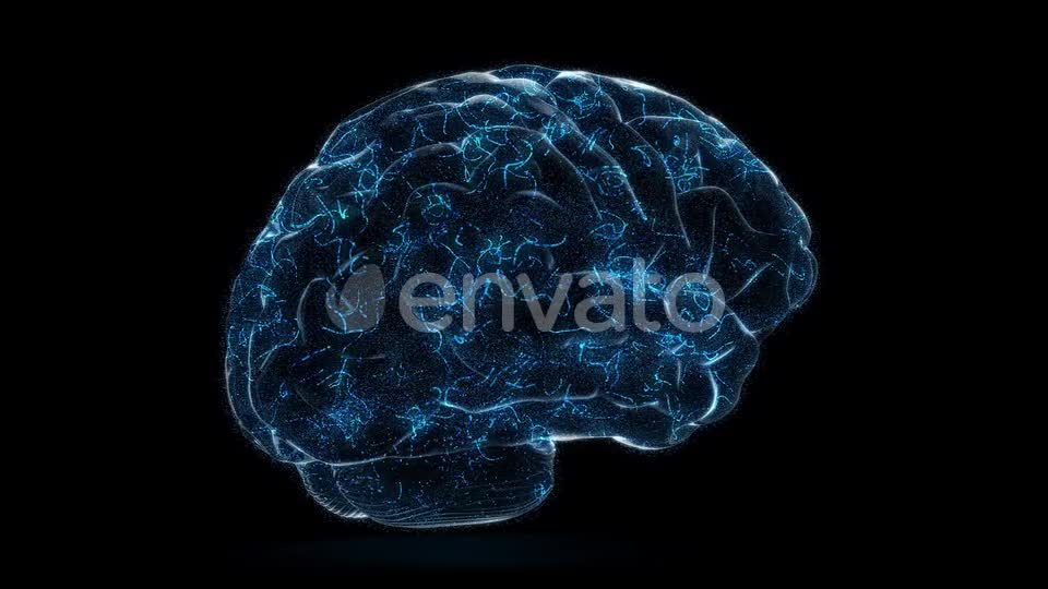 Digital Technology of a Human Brain Concept Videohive 23572125 Motion Graphics Image 1