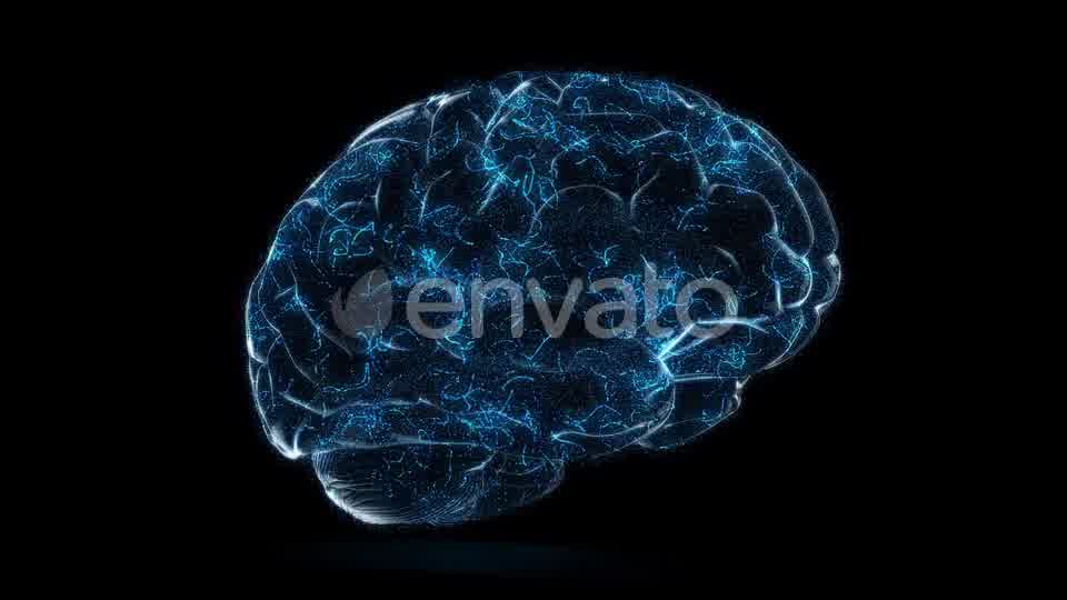 Digital Technology of a Human Brain Concept Videohive 23572125 Motion Graphics Image 10