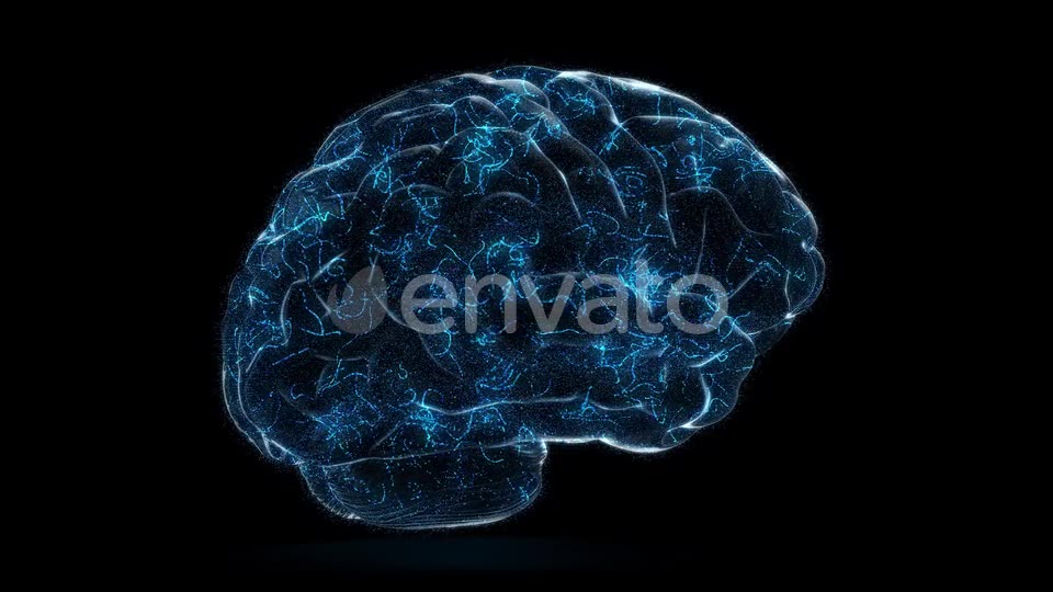 Digital Technology of a Human Brain Concept Videohive 23572125 Motion Graphics Image 2