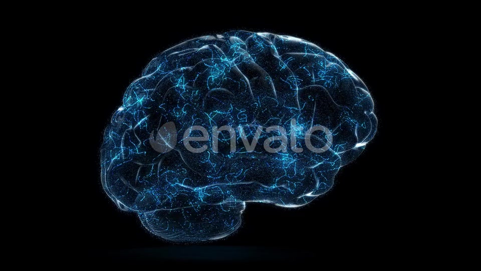 Digital Technology of a Human Brain Concept Videohive 23572125 Motion Graphics Image 3