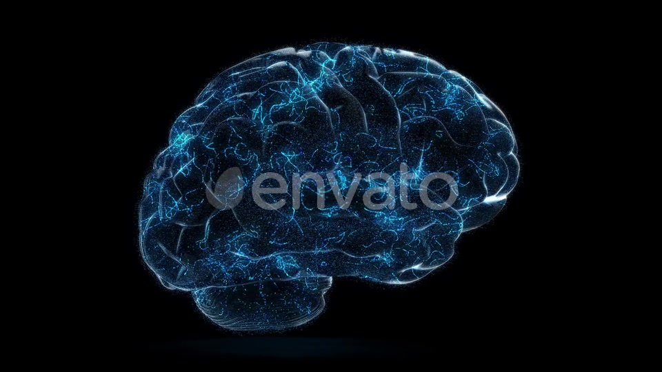 Digital Technology of a Human Brain Concept Videohive 23572125 Motion Graphics Image 4