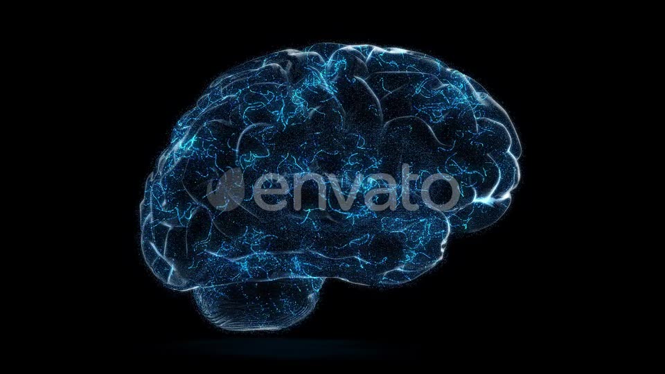 Digital Technology of a Human Brain Concept Videohive 23572125 Motion Graphics Image 6