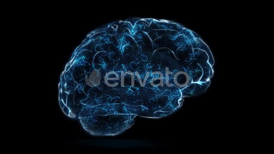 Digital Technology of a Human Brain Concept Videohive 23572125 Motion Graphics Image 7
