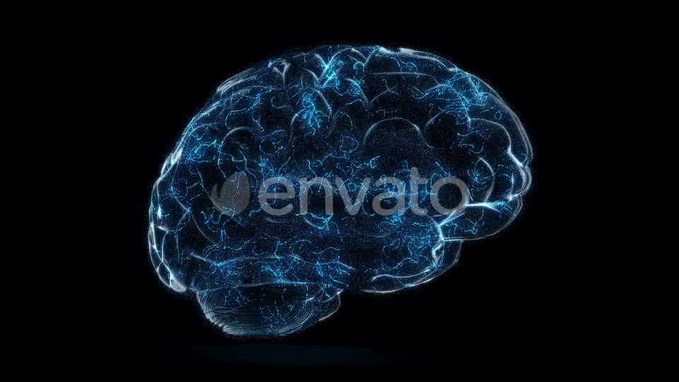 Digital Technology of a Human Brain Concept Videohive 23572125 Motion Graphics Image 8