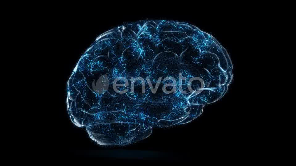 Digital Technology of a Human Brain Concept Videohive 23572125 Motion Graphics Image 9