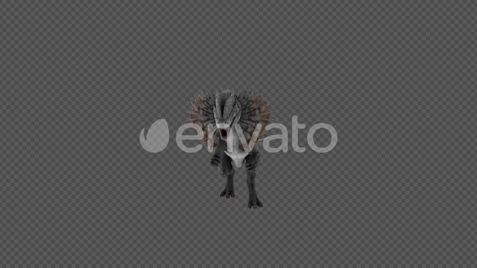 Dilophosaurus Dinosaur Spit Pack 4IN1 Videohive 22065891 Motion Graphics Image 3