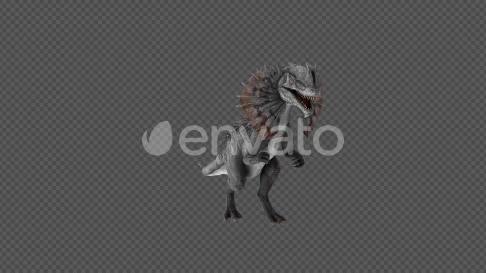 Dilophosaurus Dinosaur Spit Pack 4IN1 Videohive 22065891 Motion Graphics Image 5