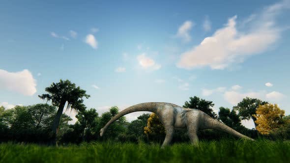 Dinosaur and Forest - Download 23218460 Videohive