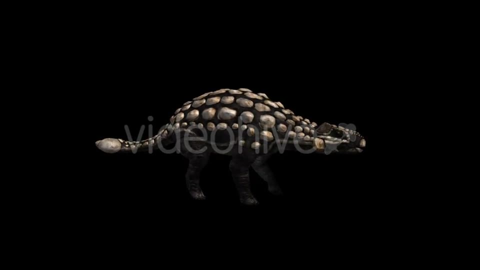Dinosaur Ankylosaurus Run and Walk Videohive 20039682 Motion Graphics Image 2