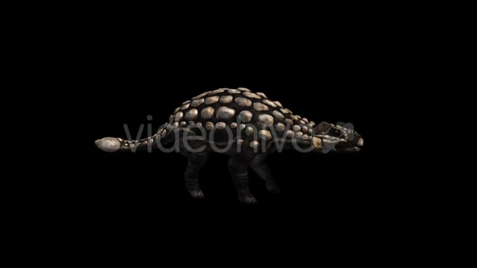 Dinosaur Ankylosaurus Run and Walk Videohive 20039682 Motion Graphics Image 6