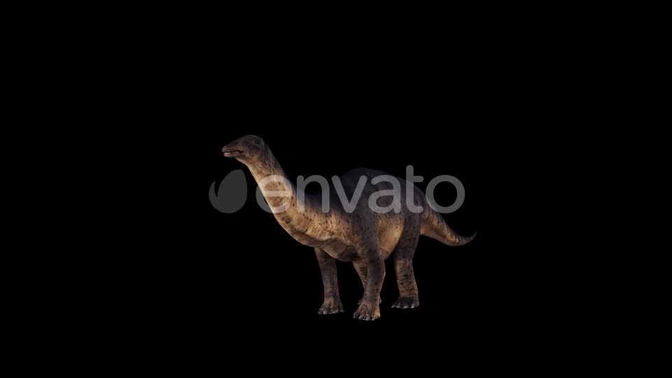 Dinosaur Brontosaurus Idle Videohive 23036519 Motion Graphics Image 1