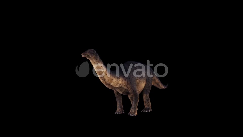 Dinosaur Brontosaurus Idle Videohive 23036519 Motion Graphics Image 4