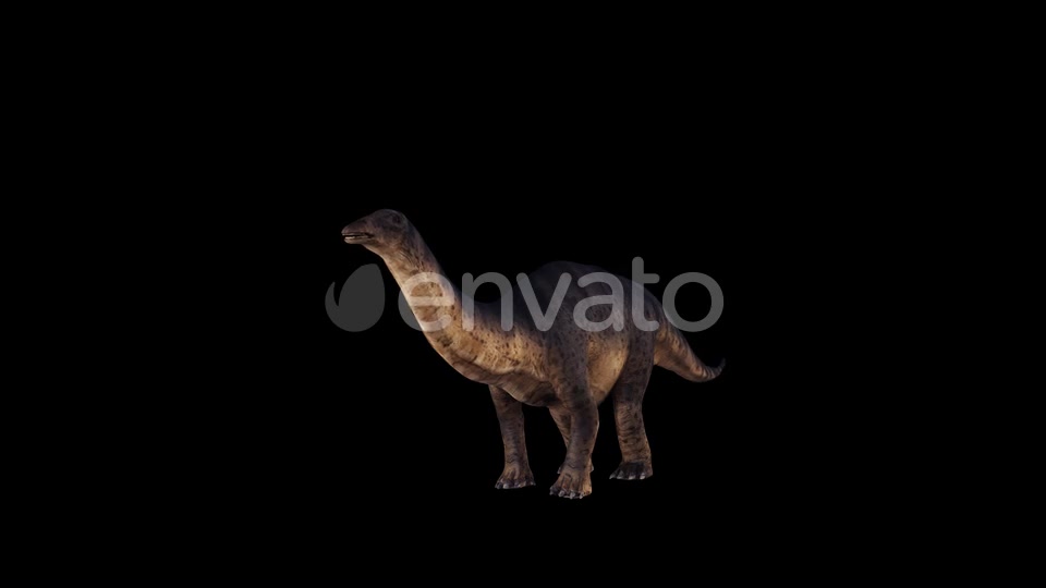 Dinosaur Brontosaurus Idle Videohive 23036519 Motion Graphics Image 5