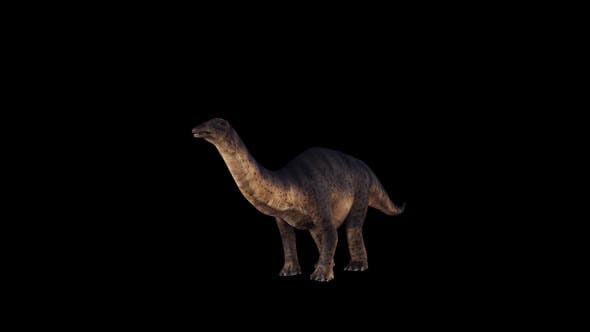 Dinosaur Brontosaurus Idle - 23036519 Videohive Download