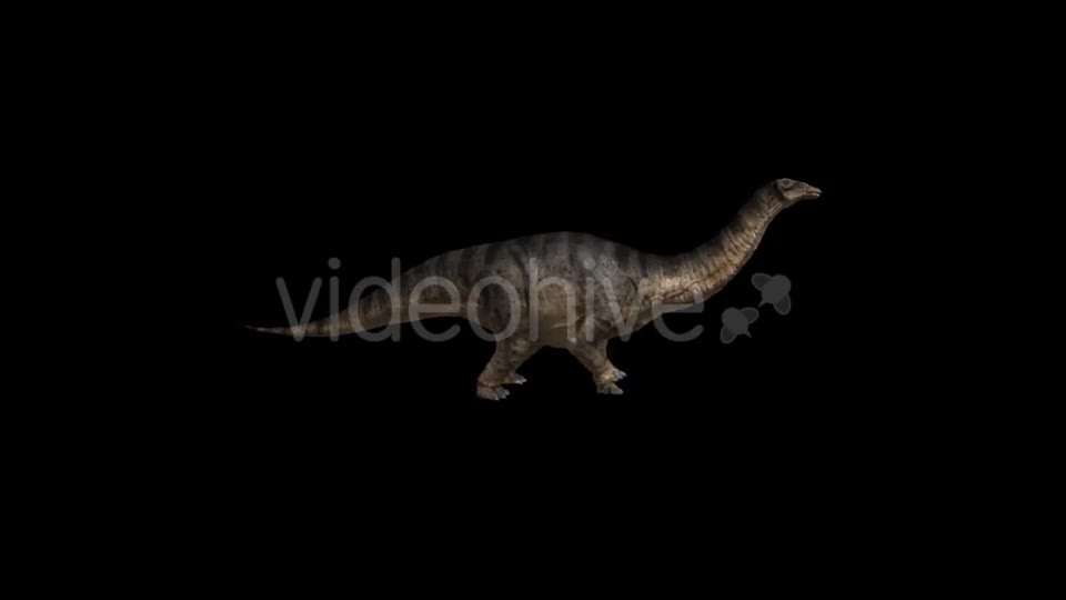 Dinosaur Brontosaurus Walking Videohive 20039688 Motion Graphics Image 1