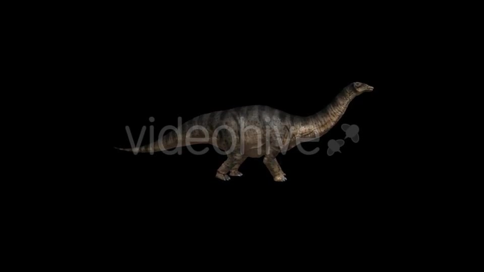 Dinosaur Brontosaurus Walking Videohive 20039688 Motion Graphics Image 2
