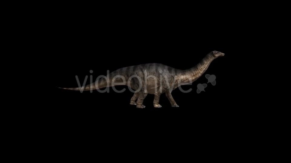 Dinosaur Brontosaurus Walking Videohive 20039688 Motion Graphics Image 3
