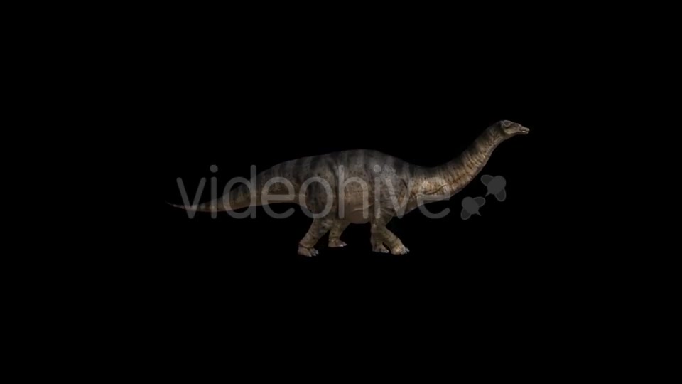 Dinosaur Brontosaurus Walking Videohive 20039688 Motion Graphics Image 4