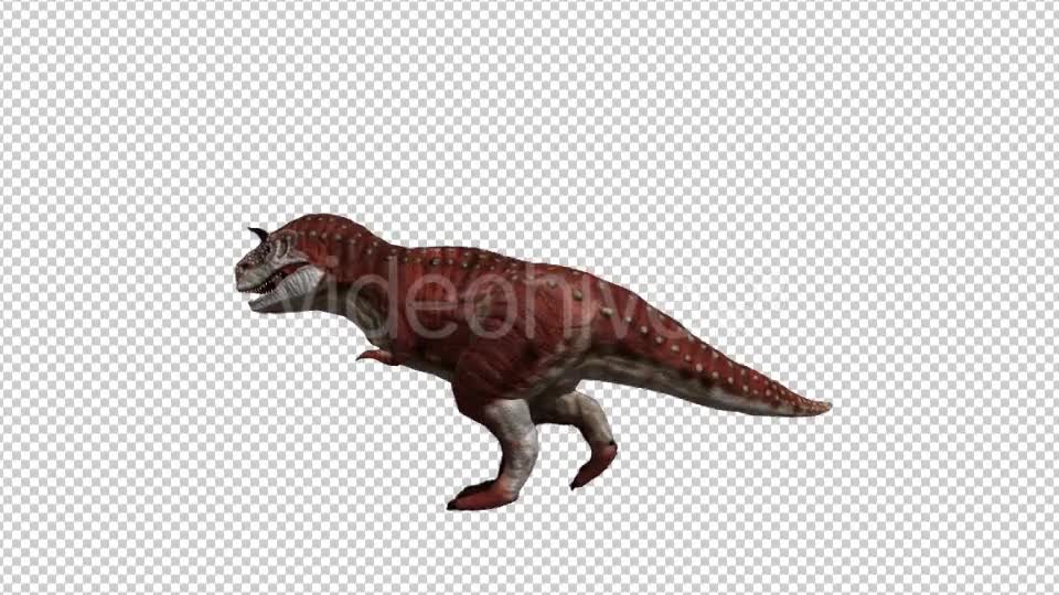 Dinosaur Carnotaurus Walking Videohive 20039694 Motion Graphics Image 1